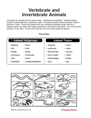 Vertebrates and invertebrates worksheet answers